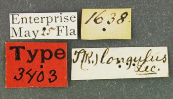 Media type: image;   Entomology 3403 Aspect: labels